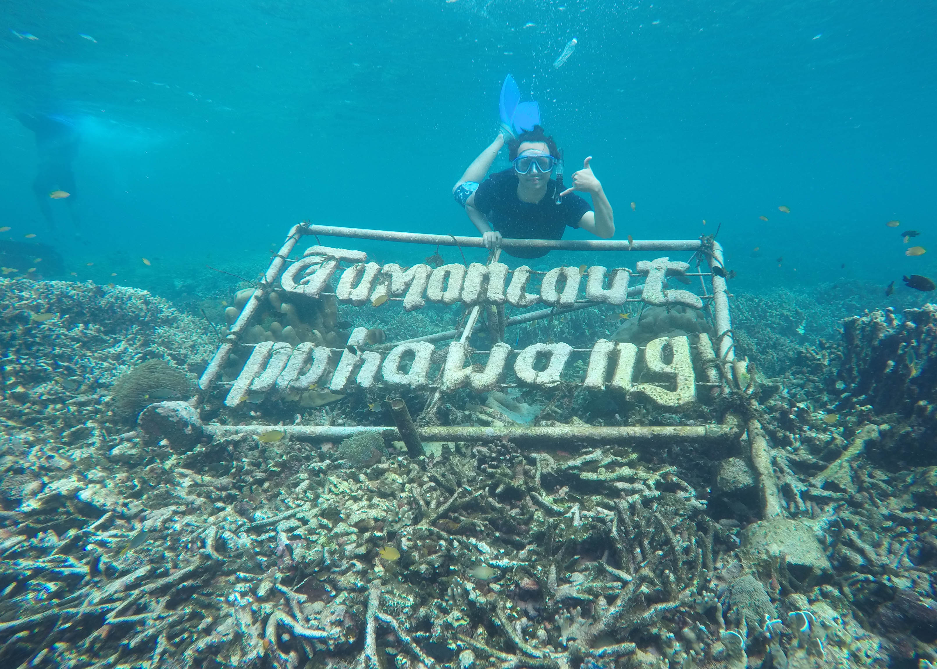 Snorkeling Pulau Pahawang